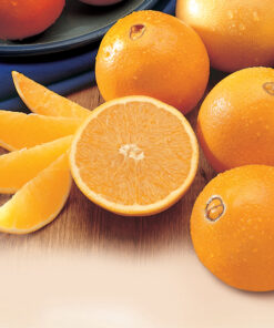 Navel Oranges
