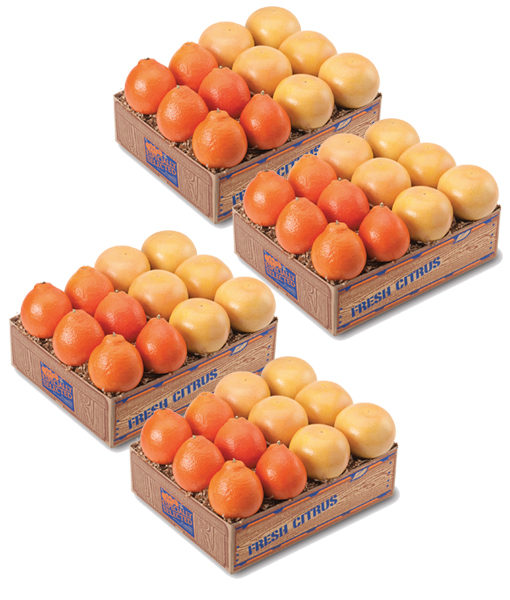 4 Trays Honeybell & Ruby Red Grapefruit