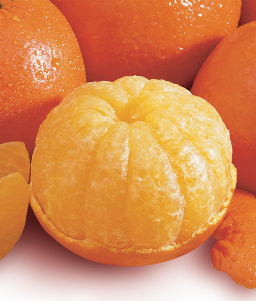Temple Oranges