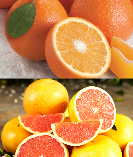 Honeybells & Flame Grapefruit