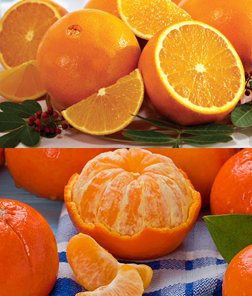 Tangerines & Navels