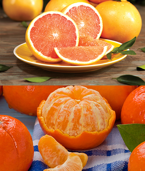 Red Grapefruits & Tangerines