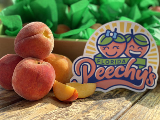Florida Peaches