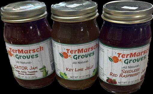 Salsa