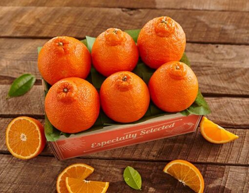 Sampler Sumo Mandarins